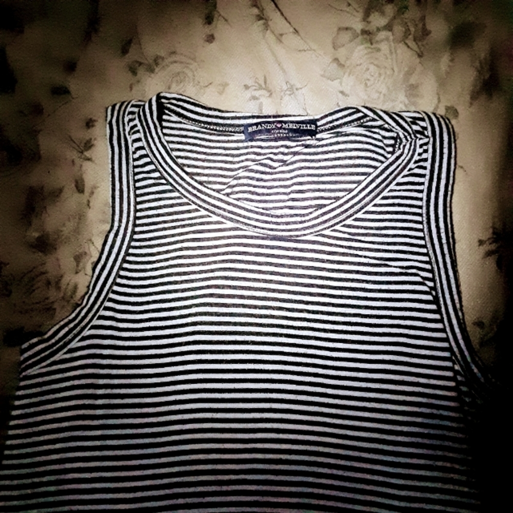 Brandy Melville stripe crop top